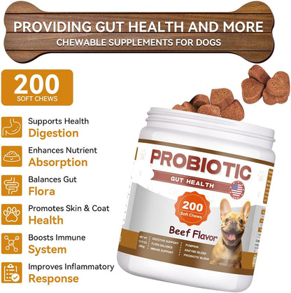 Probiotics for Dogs - 200 Count Probiotic Soft Chews for Dogs with Enzymes & Prebiotic - Digestive Enzyme Blend for Gut & Immune Support - Beef Flavor