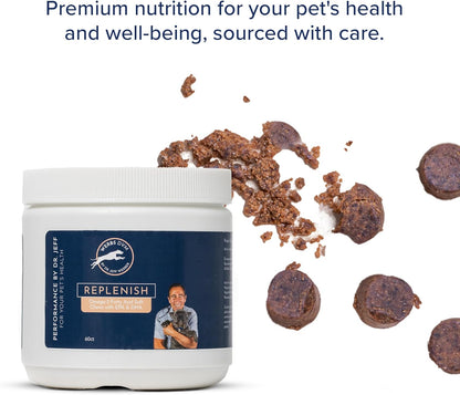 Dr. Jeff Werber Replenish Omega 3 Fatty Acid Chew for Pets & Dogs - Soft Fish Oil Chews with Natural Ingredients for Boosting Immune System and Regulating Inflammatory Response - 60 ct. (Small/Medium)
