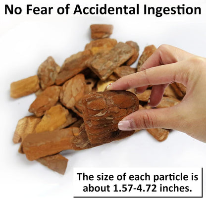 Hamiledyi 2PCS Reptile Feeding Box Snake Breeding Box Transparent Cage and Reptile Bark Bedding Tortoise Habitat Substrate Natural Terrarium Bark for Snake Spiders Bearded Dragons Hermit Crabs Geckos