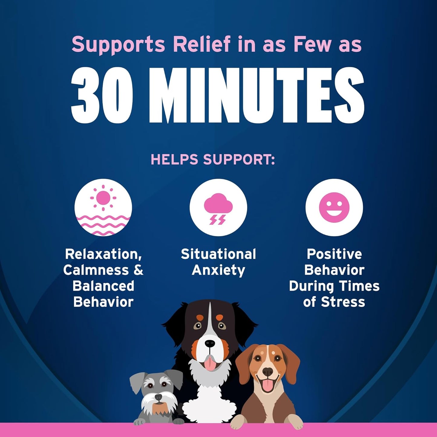Bundle of K9 Advantix II XL Dog | 2-Mo Supply + Pet Protect Calming Fast-Acting Soft Chews for Dogs, 60 Count