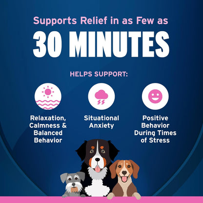 Bundle of K9 Advantix II XL Dog | 2-Mo Supply + Pet Protect Calming Fast-Acting Soft Chews for Dogs, 60 Count