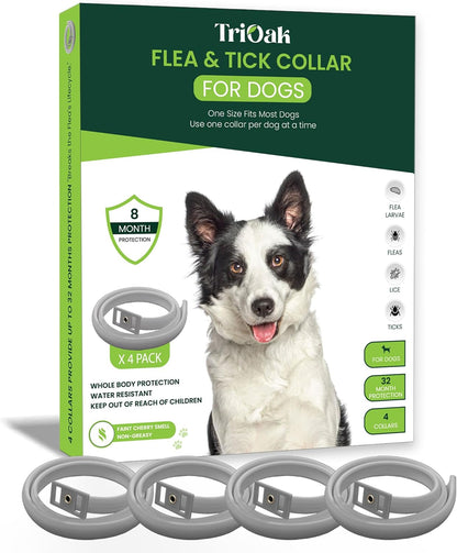 4 Pack Flea and Tick Collar for Dogs, 8-Month Protection, Flea Tick Prevention for Dogs (Gray Collar, 4 Pack)