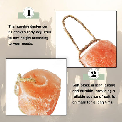 kathson Himalayan Salt Lick Salt Block on Rope for Horse Animals Mineral Salt Licks Natural Pink Licking Salt for Horses Deer Cattle Sheep and Other Livestock (2 Pcs,4.8-6.6 lbs)