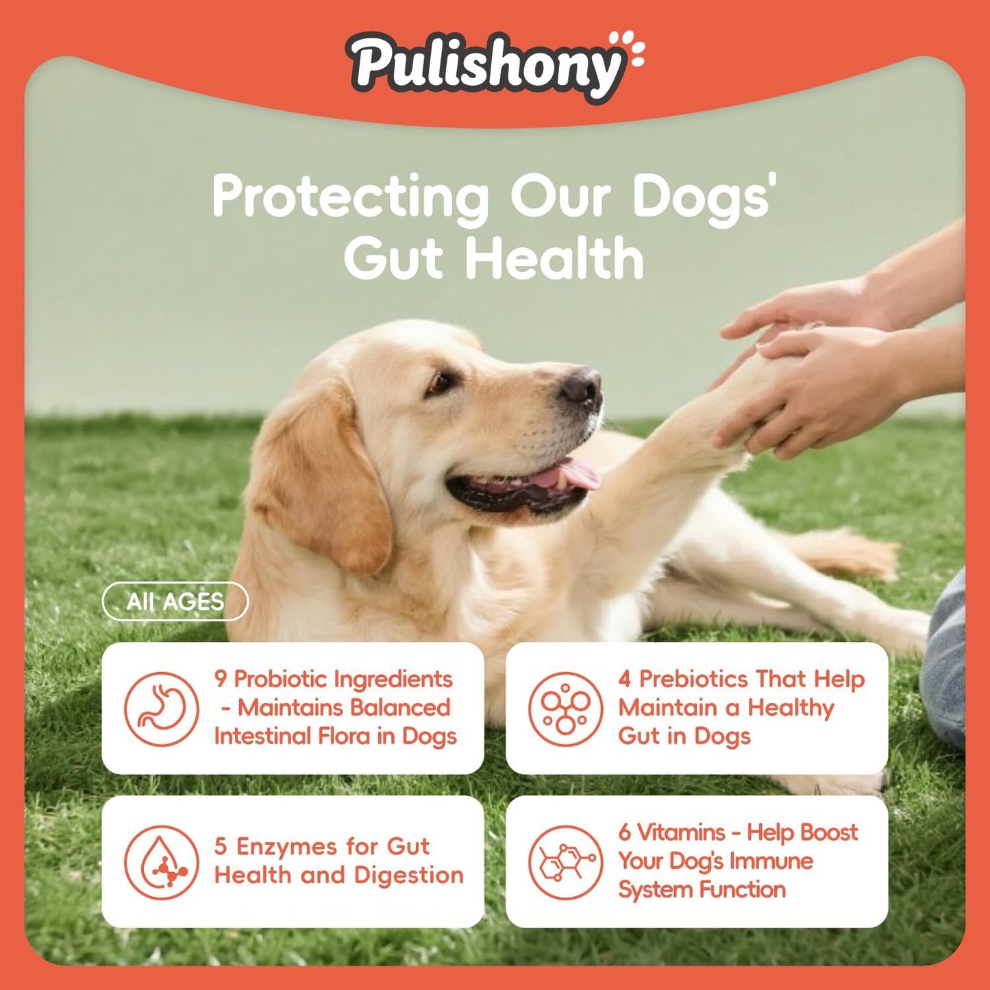 Probiotics for Dogs -Digestive Enzymes for Gut Flora, Digestive Health, Diarrhea & Bowel Support -9 in 1 Probictics- Dog Supplement Soft Chew for Pet Immune System - Chicken-（90Count）