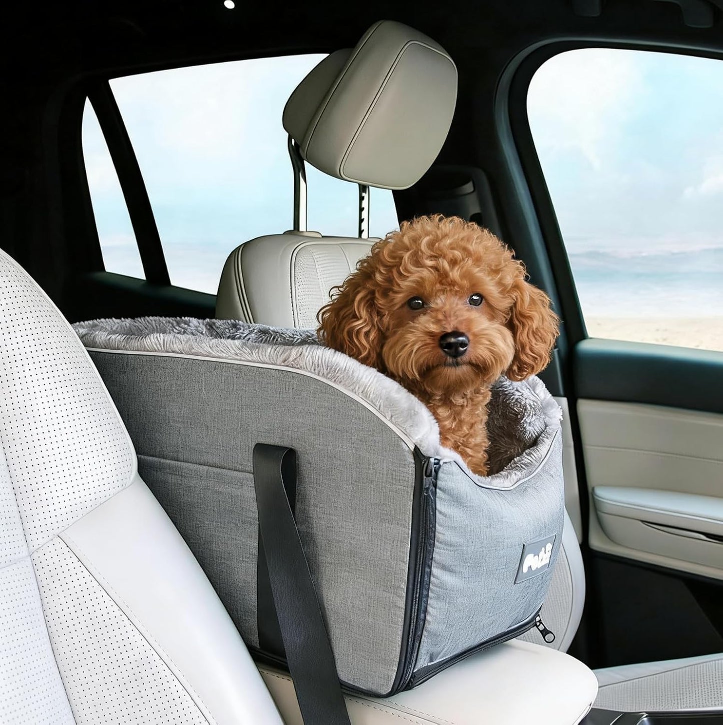 Elevated Dog Car Seat for SUV & Sedan - Pet Booster Seat with Safety Belt & Anti-Slip Platform, Convertible into Travel Carrier Bag & Indoor Bed (Grey)