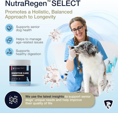 Select Digestive Senior Dog Probiotic Powder 30 Servings | Beef Flavored Dog Probiotics for Digestive Health, Supports Gut Health, Scratching, Itchy & Dry Skin, Allergies 2.1 Oz | 7 Bn CFU