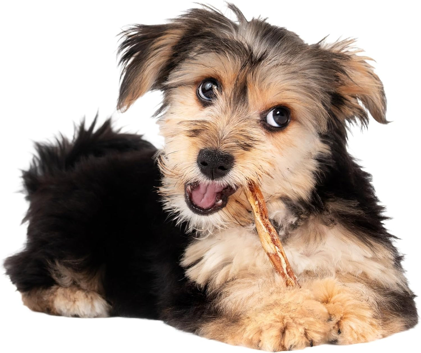 Fieldcrest Farms Nothin' to Hide Twist Stix Dog Chews - Natural Rawhide Alternative Treats for Dogs, Collagen Based Snack for Moderate Chewers Up to 15lbs, Allergen-Free Peanut Butter Flavor, 10 Pcs