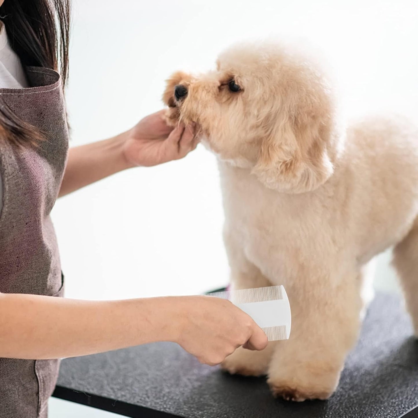 4 Pack Double sided Flea Comb,for Cats and Dogs