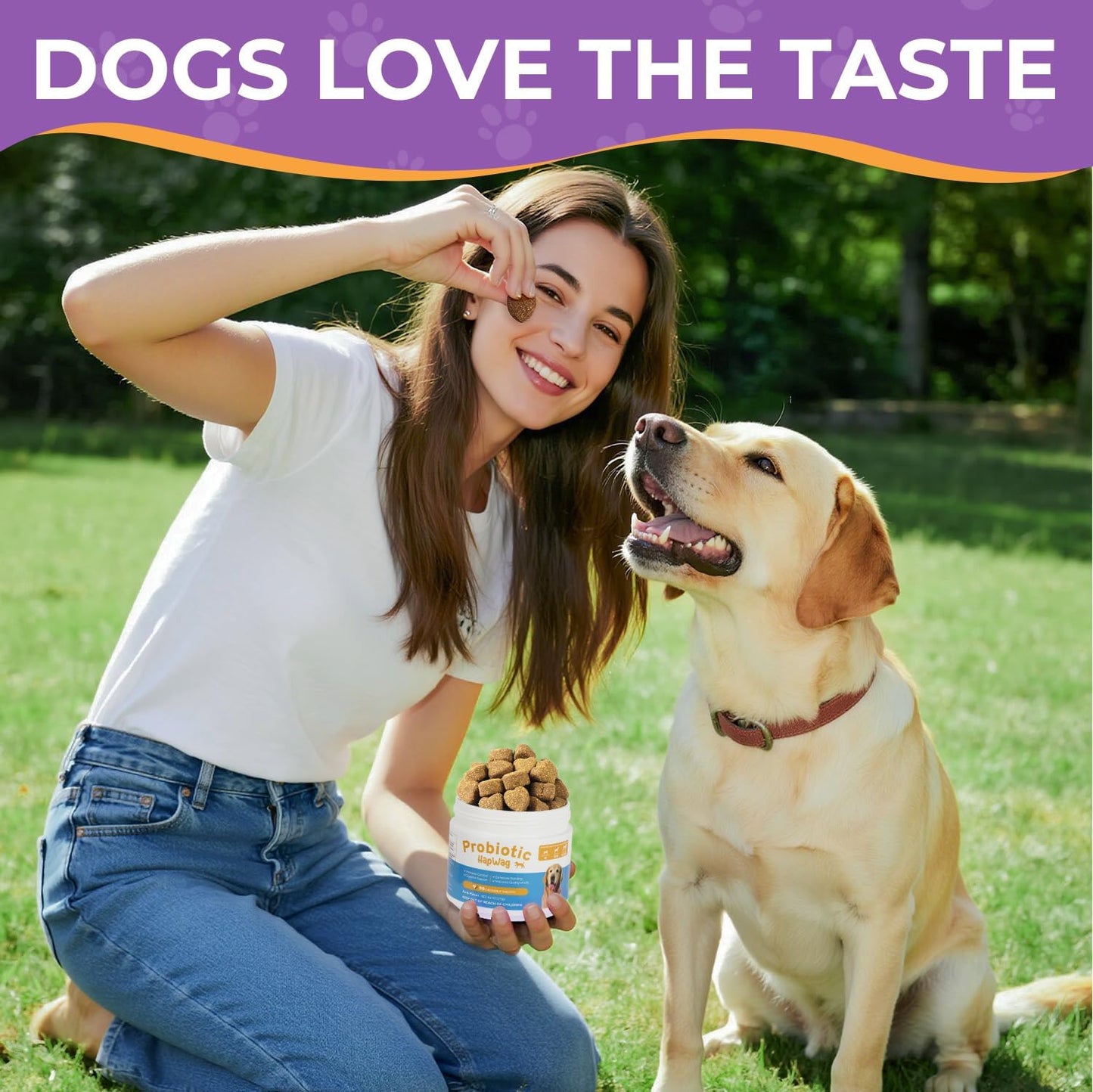 Dog Allergy and Immune Relief Chews - Probiotics for All Breeds and Ages Dogs, Support Gut Digestive Health, Anti Diarrhea, Constipation Relief, Dog Supplements - Pork Flavor - 90 Soft Chews