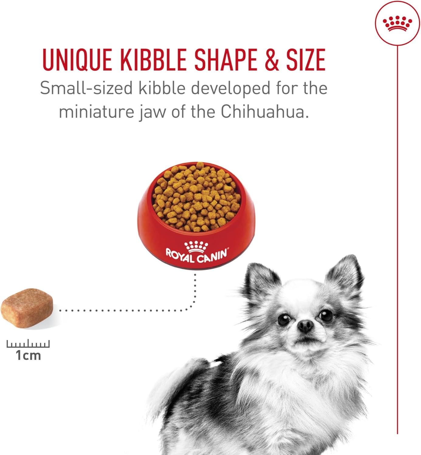 Royal Canin Chihuahua Adult Breed Specific Dry Dog Food, 2.5 lb. Bag