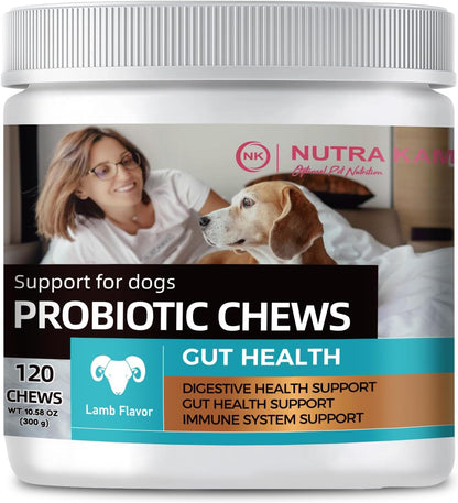 Probiotic Chews for Dogs, Natural Gut Health Support, 120 Soft Chews, Lamb Flavor, 300g