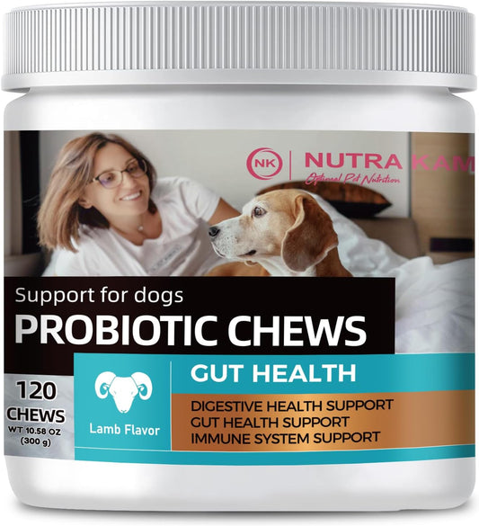 Probiotic Chews for Dogs, Natural Gut Health Support, 120 Soft Chews, Lamb Flavor, 300g
