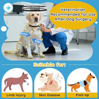 Dog Cone Collar After Surgery, Extended Dog Recovery Cone to Stop Licking Wounds, Transparent Soft Elizabethan Collar for Large Medium Small Dogs, Adjustable Pet Cone with Elastic Neck Loops