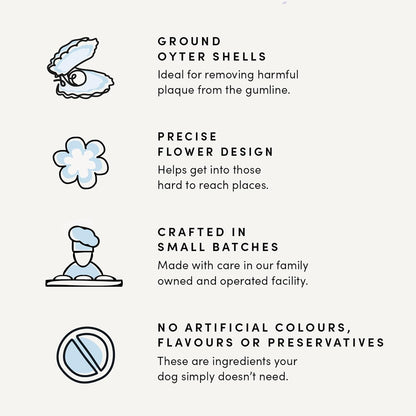 Crumps' Naturals Pumpkin Spice Plaque Busters 7" - 8 Pack