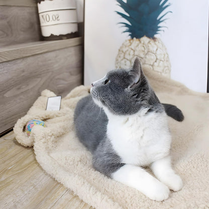 furrybaby 2-in-1 Puppy Blankets for Small Dogs - Premium Super Soft Sherpa & Fleece Dog & Cat Bed Blankets - Washable & Portable - Beige (24"x32")