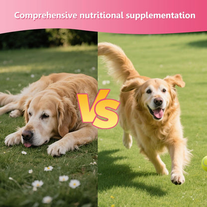 Multivitamin Chews for Dogs - Dog Vitamins with Probiotics, Glucosamine & Digestive Enzymes, Supports Joint Health, Immune System & Gut for Senior & Puppy,Chicken Flavor, 30Ct (ND-015)