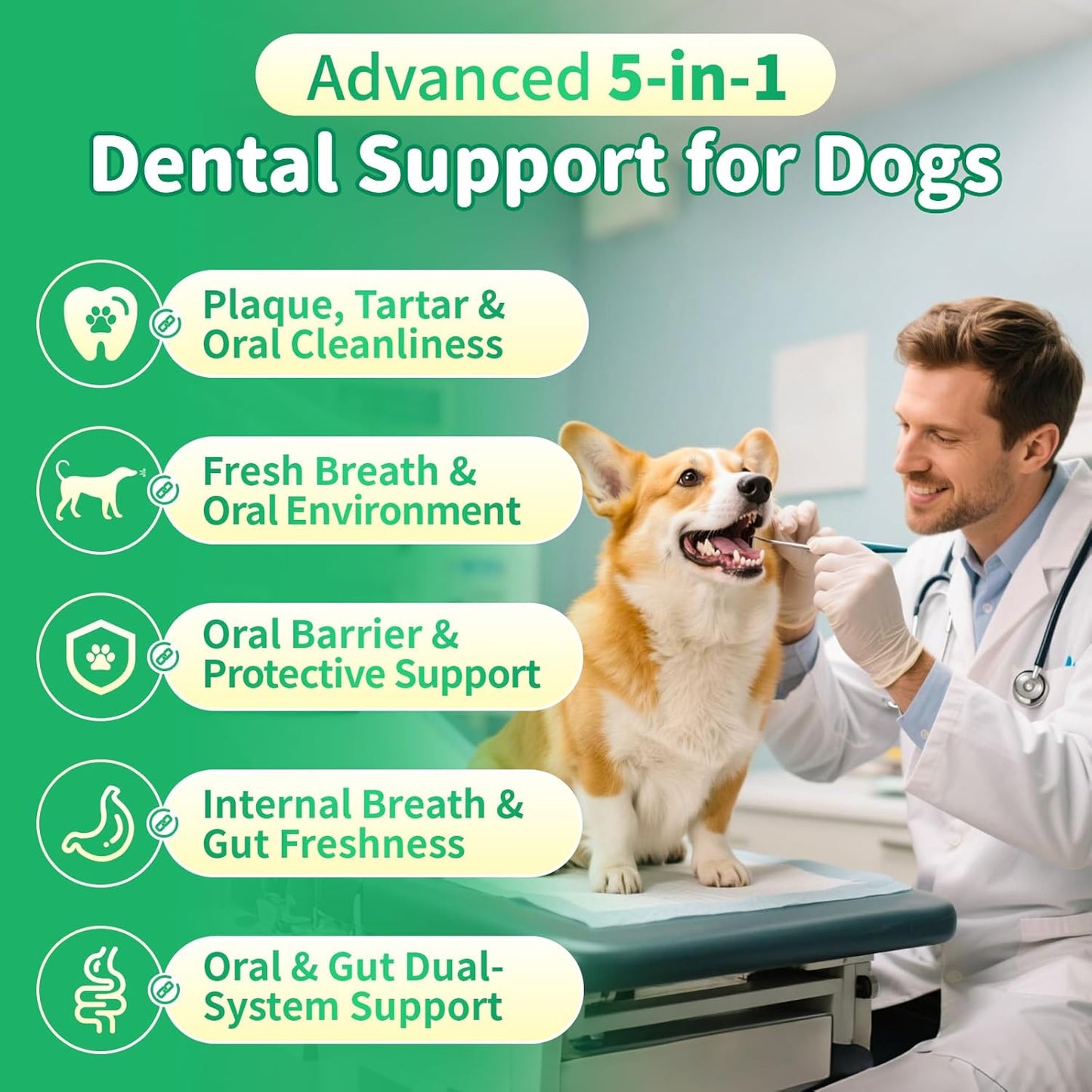 Dog Dental Powder – Teeth Cleaning Powder with 6B CFU Probiotics, Enzymes & Antioxidants, Plaque & Tartar Off, Fresh Breath Support, No Brushing Oral Care, Mint Beef Flavor, 75 Servings