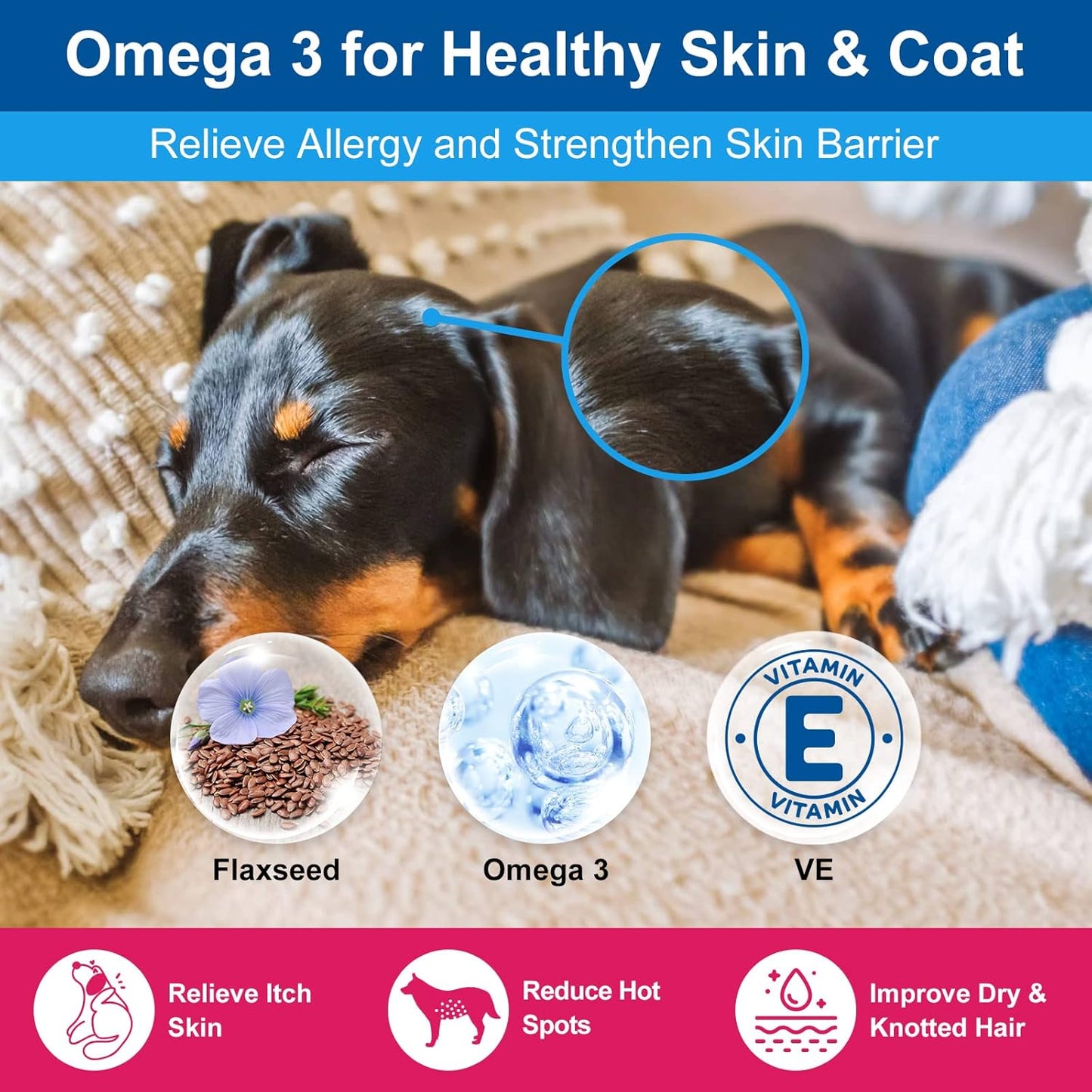 NATURE TARGET Dog Vitamins Powder, Probiotics & Digestive Enzymes for Gut Health, Glucosamine & Chondroitin & Omega 3, Complete Supplement for Homemade Dog Food, Joint & Skin & Immune Support