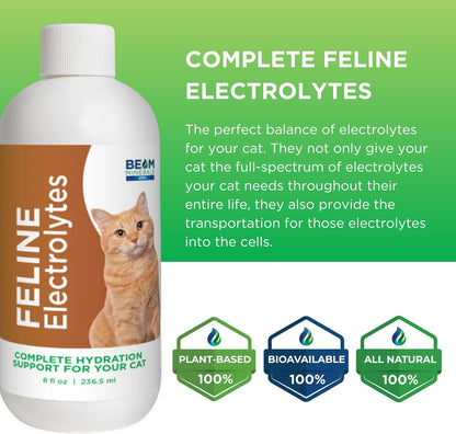 Beam Minerals Complete Feline Electrolytes | Full-Spectrum Electrolytes for Cats | 8 Fl Oz
