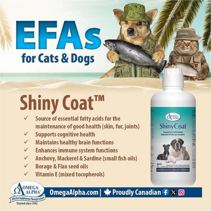 Omega Alpha Shiny Coat Equine Supplement, 1L