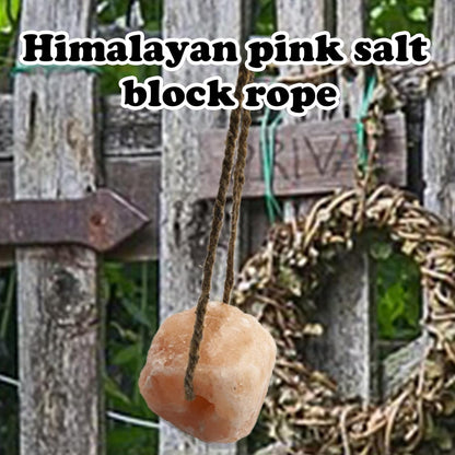 2 Pack Himalayan Salt Lick Natural Minerals Block on Rope for Horses,Cattles,Deer,Goat and Other Livestock Long Lasting Original Pink Salt Lick (4.8-6.6 lbs)