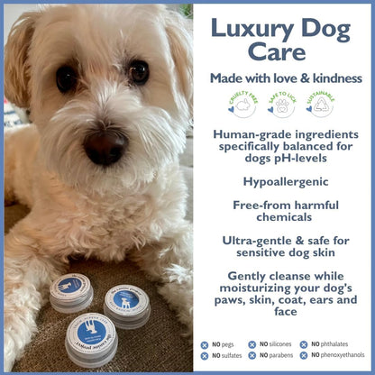 Dog Skin Therapy Spray & Grooming Wipes Bundle - Anti-Itch Healing Spray with Aloe Paw & Ear Wipes (24-Pack) Gentle First Aid & On-The-Go Cleaning