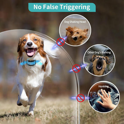 PetJoy Dog Bark Collar, Automatic Barking Collars, Bark Shock Collar with 5 Adjustable Levels of Sensitivity, Barking Training Collar IPX7 Waterproof, Bark Collar 3 Packs