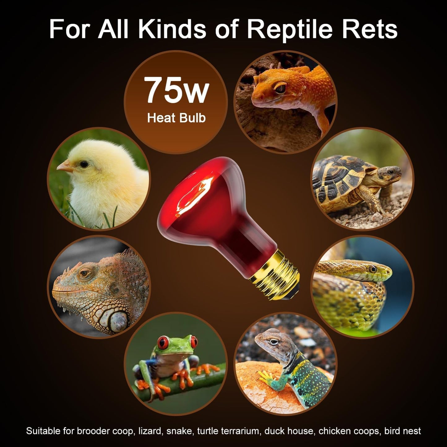 Reptile Heat Lamp 75W, Heat Lamp Bulbs for Reptiles and Amphibians, UVA Daylight Basking Light Suitable for Bearded Dragons, Lizards, Turtles, and Chickens (2 Pack)