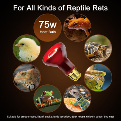 Reptile Heat Lamp 75W, Heat Lamp Bulbs for Reptiles and Amphibians, UVA Daylight Basking Light Suitable for Bearded Dragons, Lizards, Turtles, and Chickens (2 Pack)