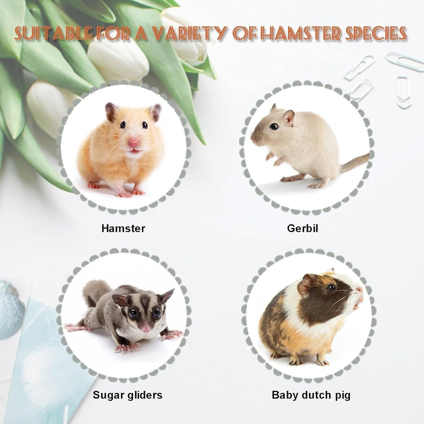 Wood Hamster Toys, Seesaw, Bridge and Hideout for Dwarf Gerbil Mouse Mice Rat Small Animals(Only for Small Hamster)