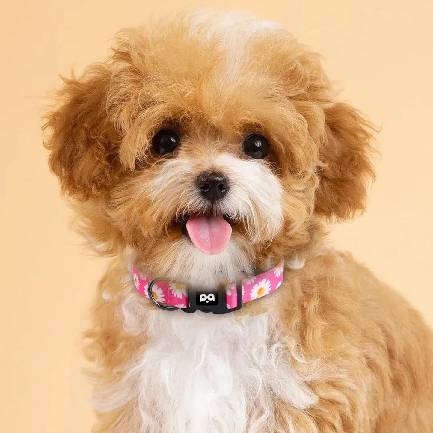 QQPETS Adjustable Soft Dog Collar: Print Flower Pink Multicolor Cute Patterns for XS Small Medium Large Pet Girl Boy Puppy Walking Running Training (S, Small Daisies)