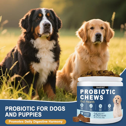 Probiotics for Dogs, Dog Probiotics Chews for Digestive Health & Gut Health, Improve Immune System,Constipation & Diarrhea Relief(Chicken Flavor, 250 Chews)