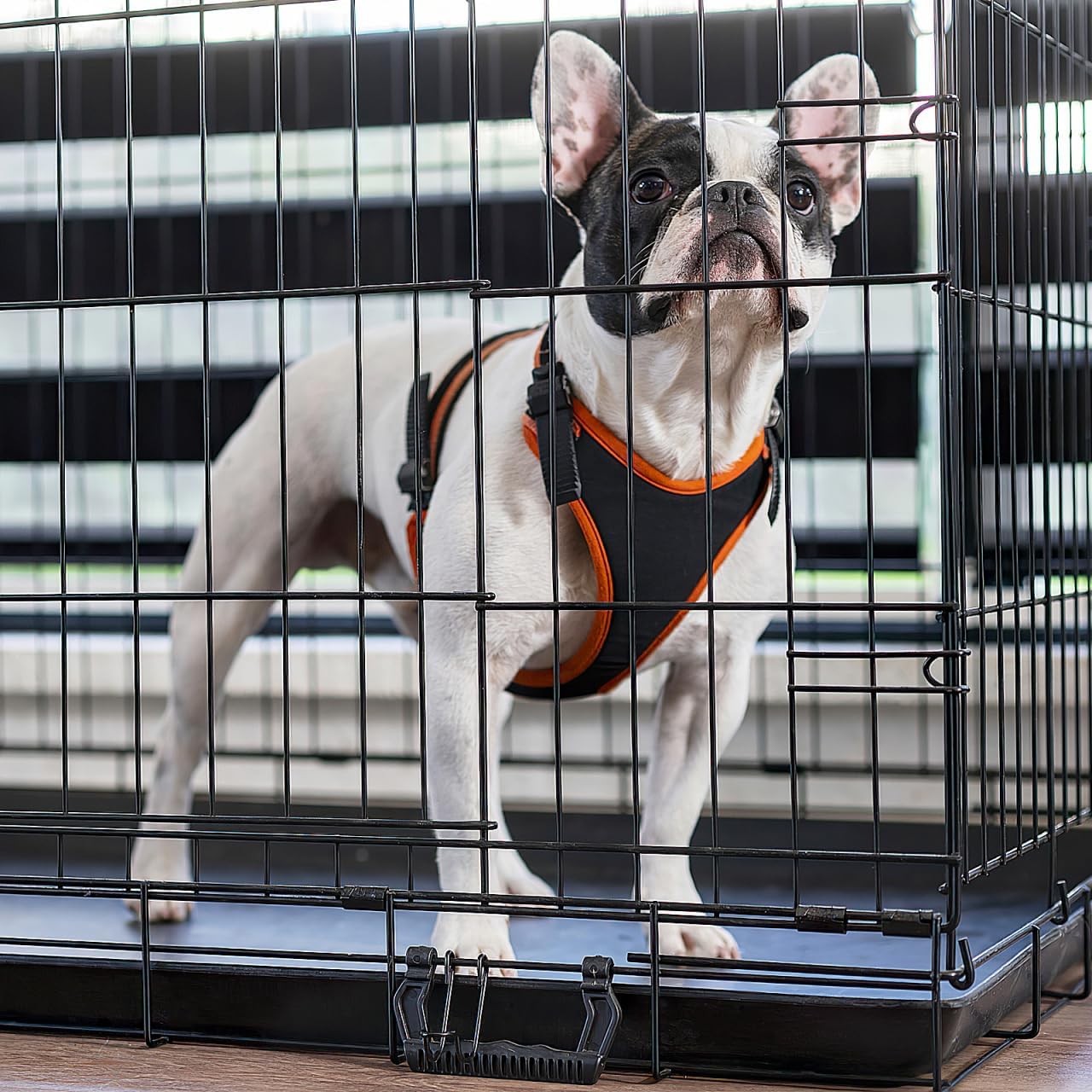 Garneck 2Pcs Plastic Dog Crate Tray Replacement - Durable Bottom Tray for Dog Kennels - Rabbit Cages and Small Pets 41x27cm Size Easy for Pet Training and Preventing