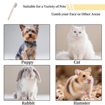 2 Pack Stainless Steel Dog Eye Comb - Small Design for Pet Facial & Paw Grooming, Round-Tip Arc Teeth, ABS Handle, Puppy Flea Brush, Fit Yorkie, Shih Tzu, Maltese Maltipoo Pomeranian