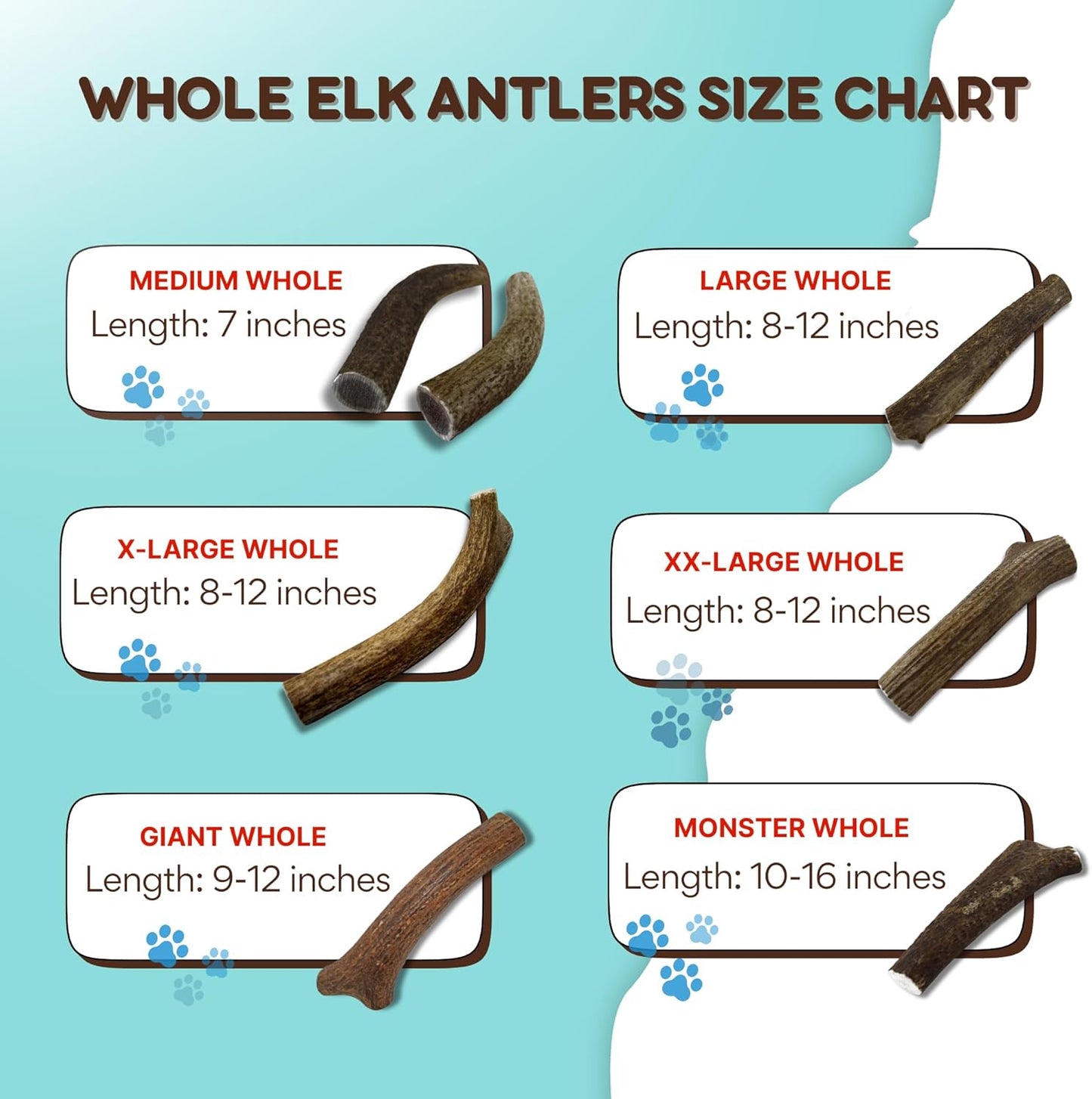 Grade A Premium Quality Elk Antler Dog Chews, Naturally Shed No Preservatives for Mild to Aggressive Chewers, Long Lasting Bone Treat Made in USA (Large Whole 2 Pack)