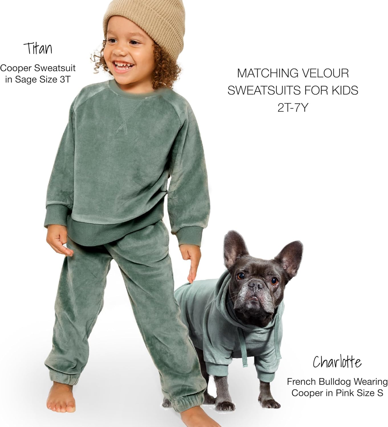 Cooper II Organic Cotton Velour Dog Hoodie Pet Coat for Small, Medium and Large Dogs, Sage, Medium (20-45 lbs)