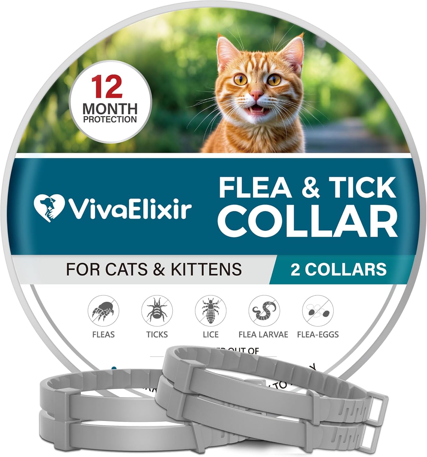 Flea and Tick Collar for Cats – 12-Month Protection – Adjustable & Waterproof – Safe, Long-Lasting Repellent for Fleas, Ticks, Lice & Mosquitoes – Fits Small, Medium & Large Cats 4pack