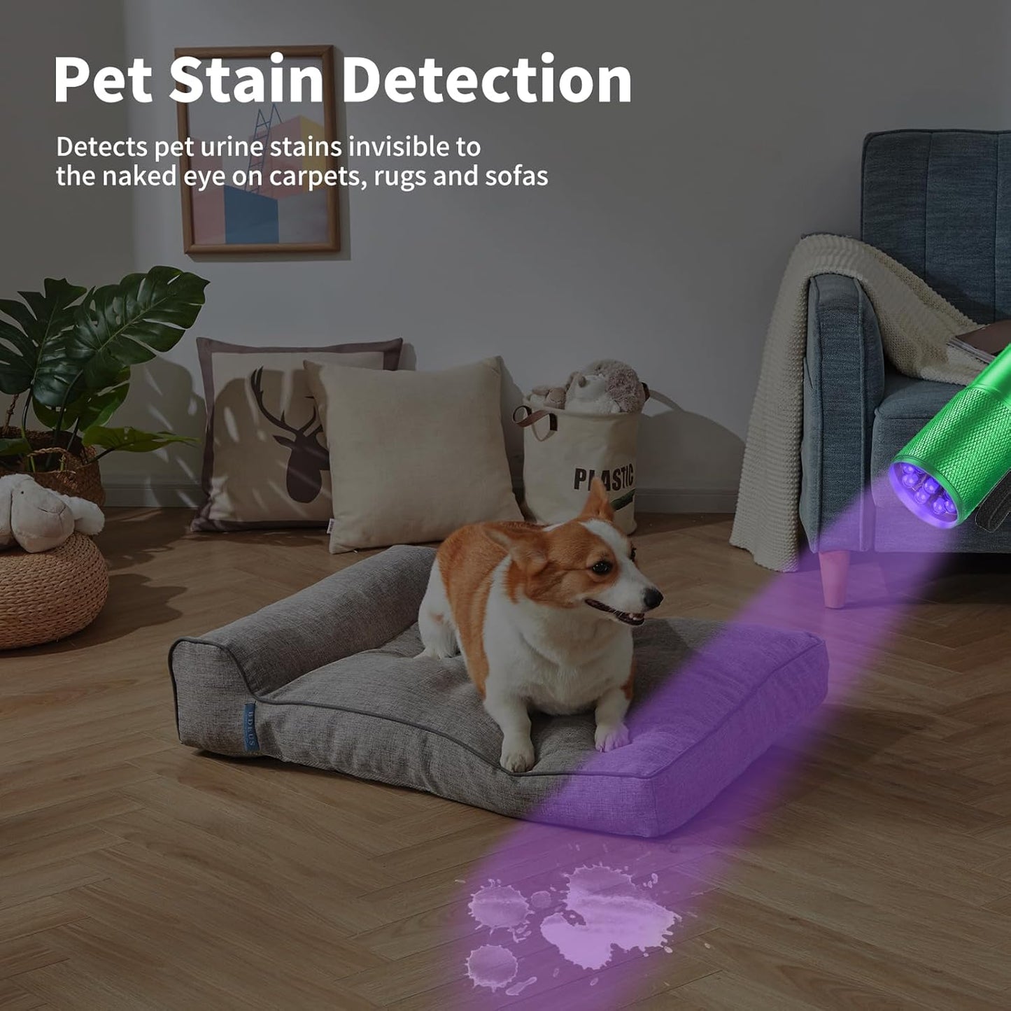 5 Pack Black Light UV Flashlight, 9 LED 395nm Ultraviolet Blacklight Flashlight, Handheld Mini Torch Light Pet Urine Detector for Dog/Cat Urine, Dry Stains(15x AAA Batteries(Green))