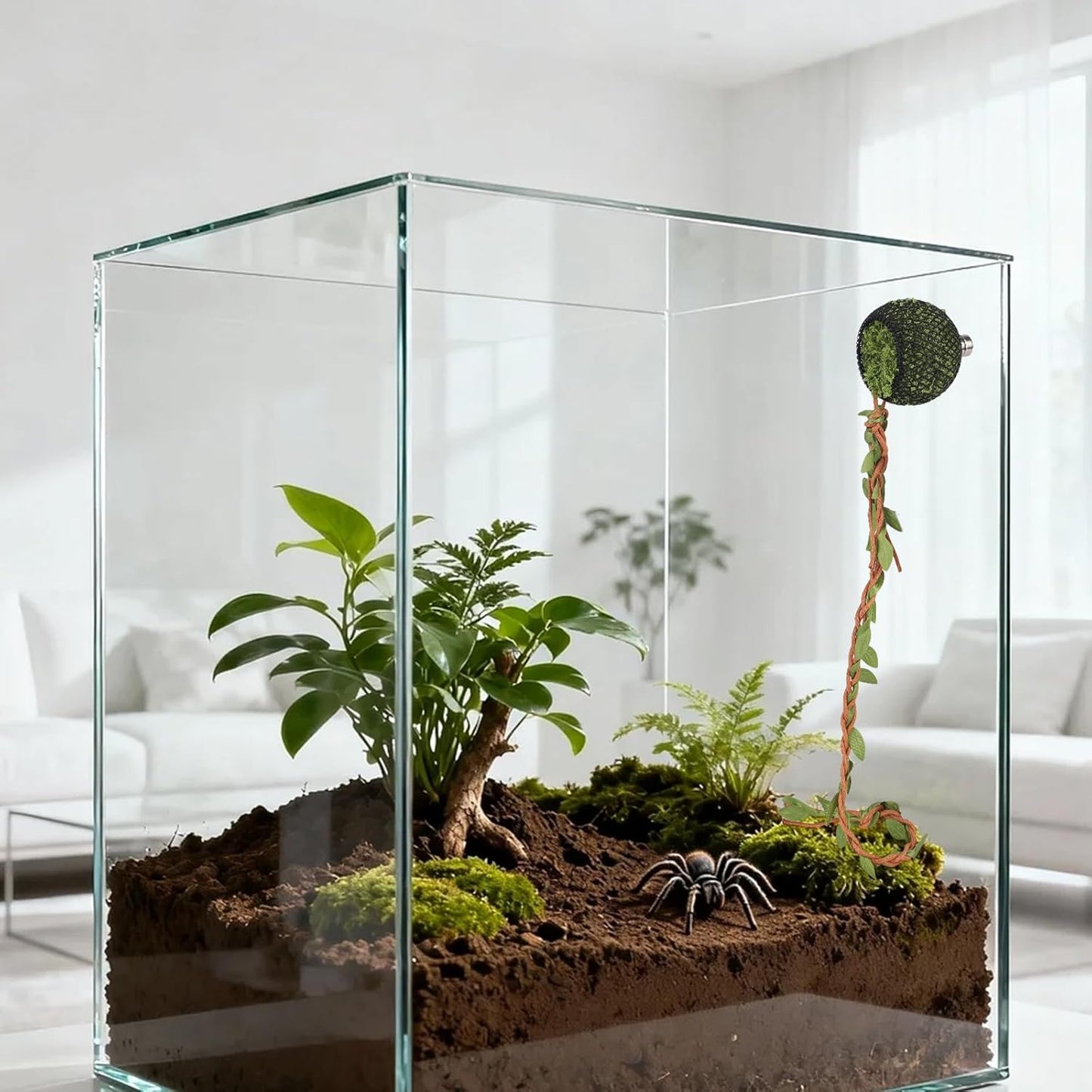 Magnetic Reptile Hide with Strong Magnets, Small Amphibian Hideout Enclosure Accessory for Jumping Spiders Tarantulas & Pet Spider Terrarium Decor