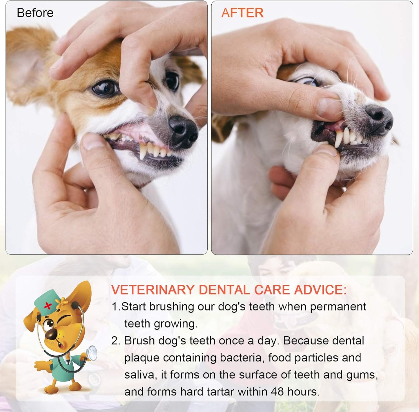 EASYA Double Headed Pet Dog Toothbrush for Small Dogs/Soft Bristles Puppy Long Handle Tooth Brush Dogs Teeth Cleaning/Bulk Toothbrushes (Mixed10 Newly Upgraded)