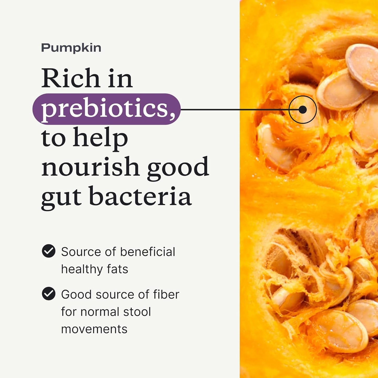 PetLab Co. Pumpkin Fiber for Dogs – Dog Probiotics Powder – High Fiber Supplement with Pumpkin, Apple, Psyllium & Mushrooms – Supports Digestion, Gut Health & Regular Bowel Movements – 30 Scoops