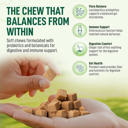 Probiotics for Dogs 120 Chews - Digestive Enzymes & Gut Health Support with Pumpkin Seed, Ginger Root – Dog Probiotics for Diarrhea, Bowel & Immune Support - Bacon Flavor, Soft Chews