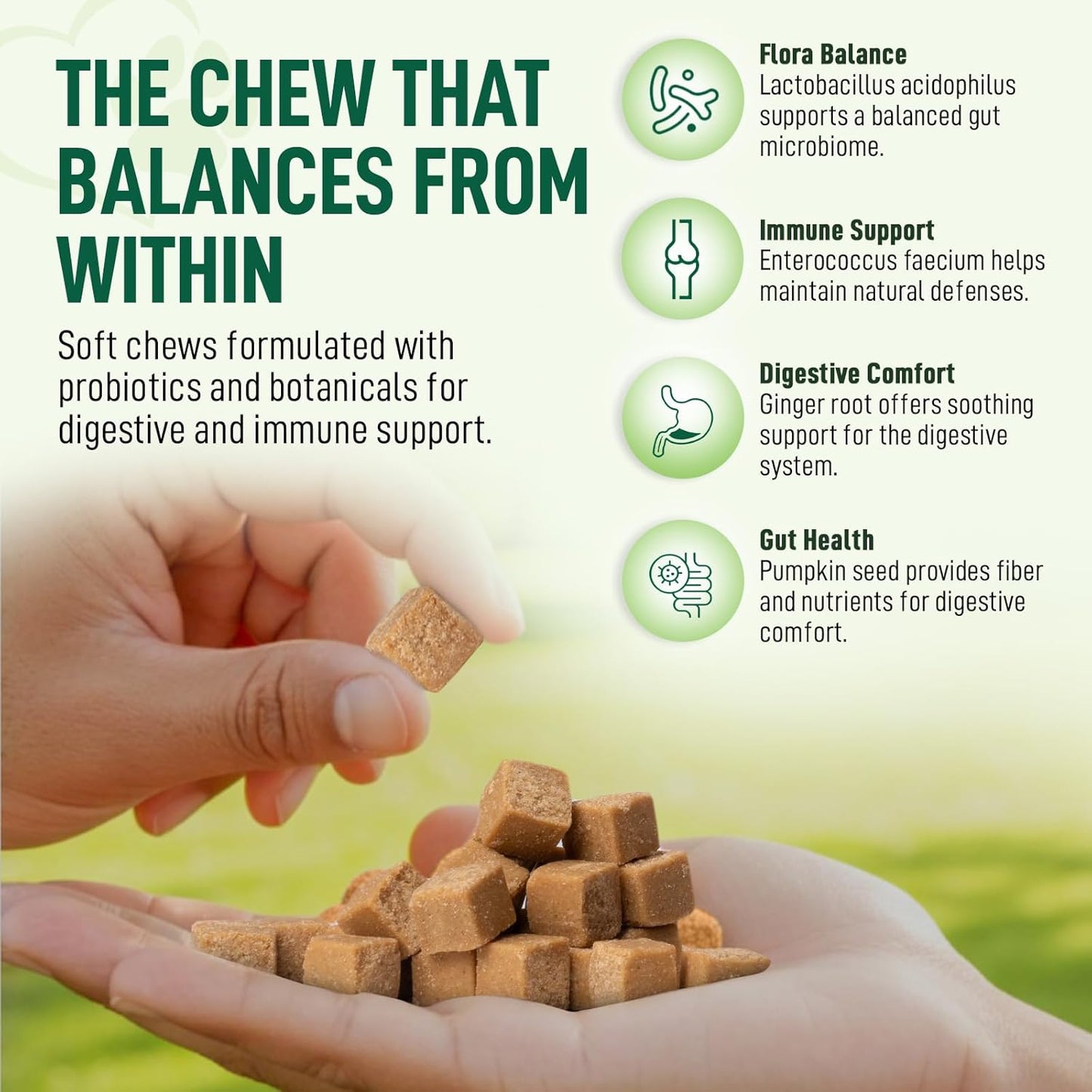 Probiotics for Dogs 120 Chews - Digestive Enzymes & Gut Health Support with Pumpkin Seed, Ginger Root – Dog Probiotics for Diarrhea, Bowel & Immune Support - Bacon Flavor, Soft Chews