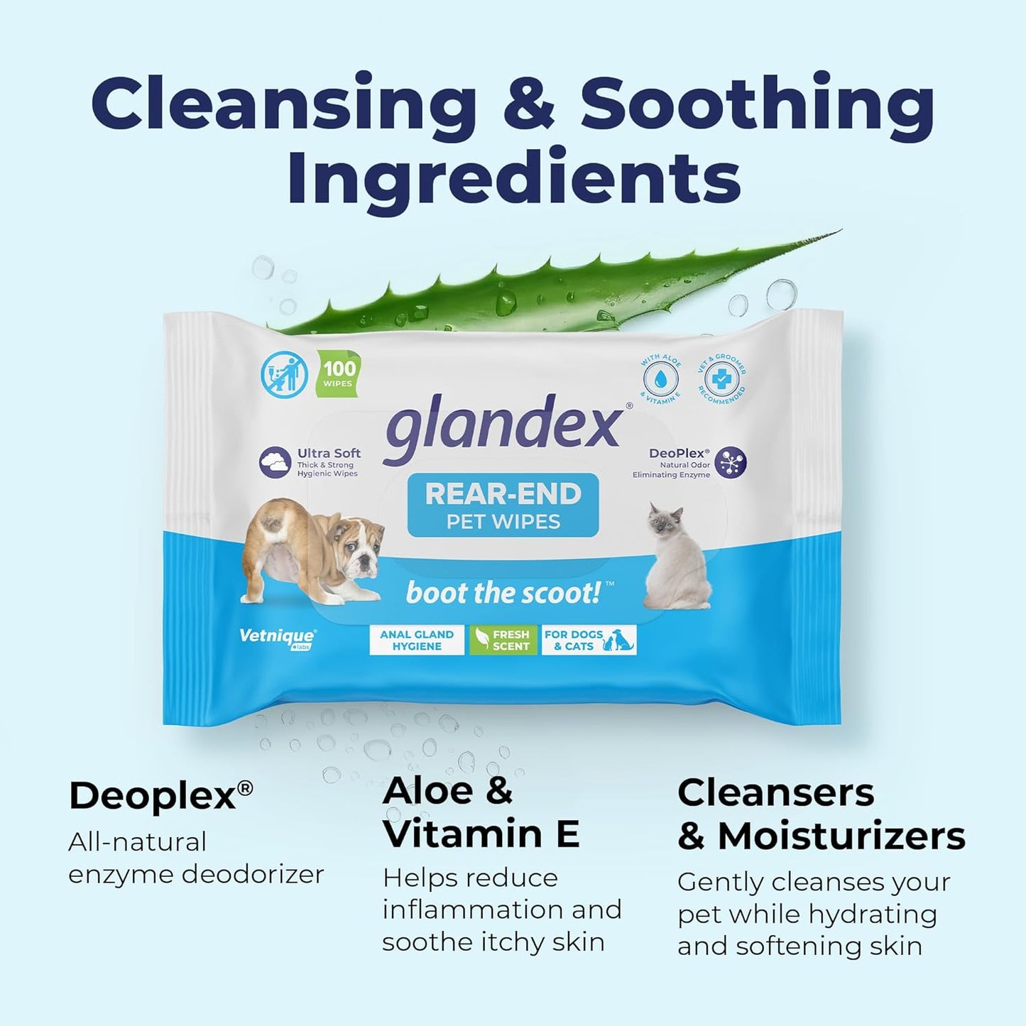 Vetnique Labs Glandex Anal Gland Medicated Spray for Dogs & Cats (4oz) and Glandex Anal Gland Hygienic Pet Wipes100 Ct Bundle, Dog Deodorizing Spray & Anti-Itch Spray, Cleaning Wipes with Fresh Scent