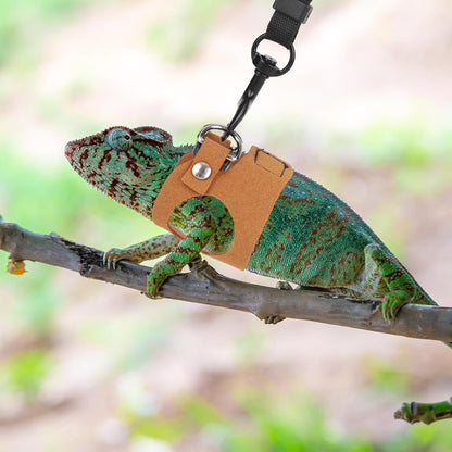 Bearded Dragon Leash & Harness Set, Adjustable Lizard Harness Cool Animals Accessories for Small Pet Animals Reptile Outdoor Safety Walking (S, M, L)