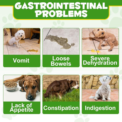 Probiotics for Dogs - Probiotic Powder with 5 Billion CFU & Prebiotics, 12-Strain Formula for Digestive Health & Diarrhea Relief, Vet-Recommended for Sensitive Stomach 4.23oz