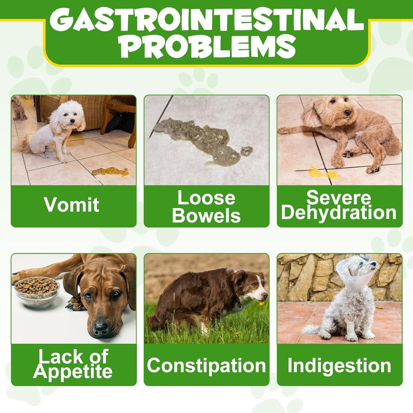 Probiotics Powder for Dogs - Pre & Probiotic Digestive Supplement with Digestive Enzymes & Prebiotics for Dog Support Gut Health, Seasonal Allergies & Immune System Dog Supplies Powder - 120 Scoops