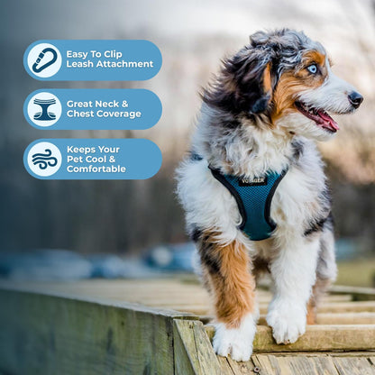 Best Pet Supplies Voyager Step-in Lock Pet Harness w Reflective Pet Leash Combo Set with Neoprene Handle 5ft - Supports Small, Medium and Large Breed Puppies/Cats - Turquoise/Black Trim Set, XL
