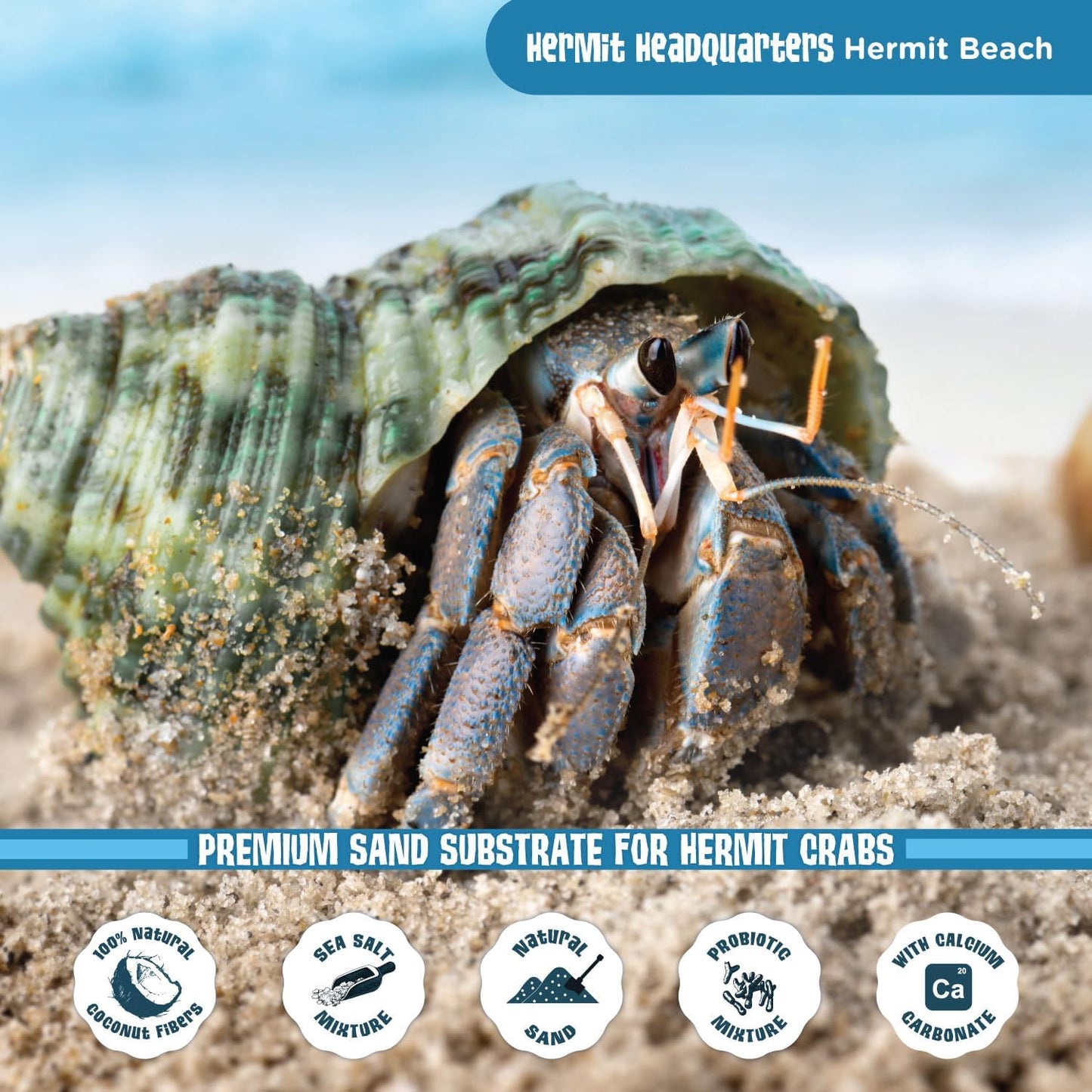 Fluker's All Natural Premium Hermit Crab Sand Substrate, Sand Mixture with Coconut Fiber, For Hermit Crab Tanks, 12 lbs.