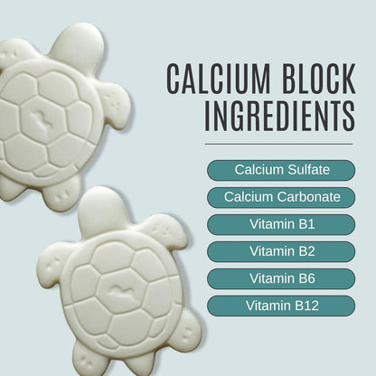 Shellstrong Premium Calcium Block for Aquatic Turtle - Slow Release Water Tank Conditioner - Cuttlebone for Aquarium - Turtle Tank Accessories - 20 Gallon Aquatic Tank Treatment (3 Calcium Blocks)